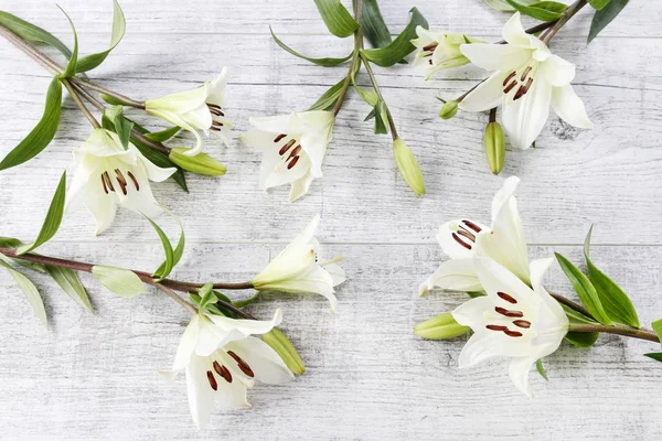 White lilies on wooden background.
