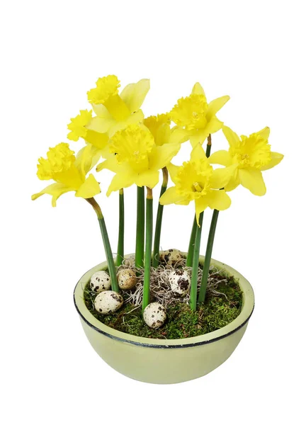 Decoración de mesa de Pascua con narcisos, huevos y musgo en cerámica — Foto de Stock