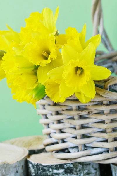 Gelbe Narzissenblüten in einem Weidenkorb. — Stockfoto