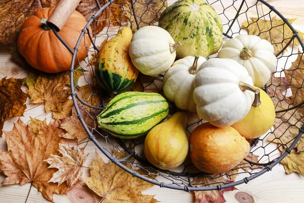 Citrouilles et feuilles colorées sur fond en bois . — Photo