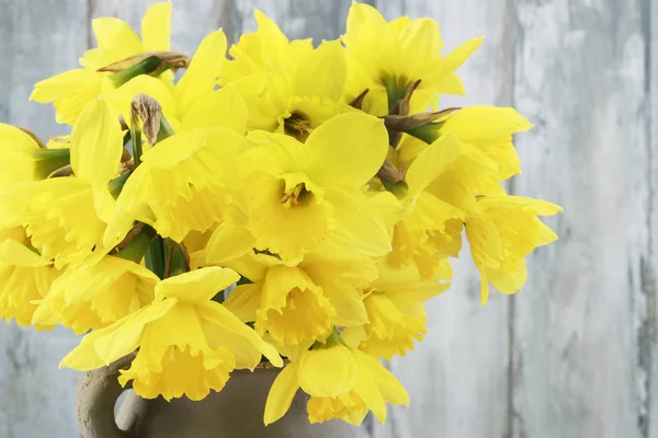 Enorme boeket van gele narcissen — Stockfoto