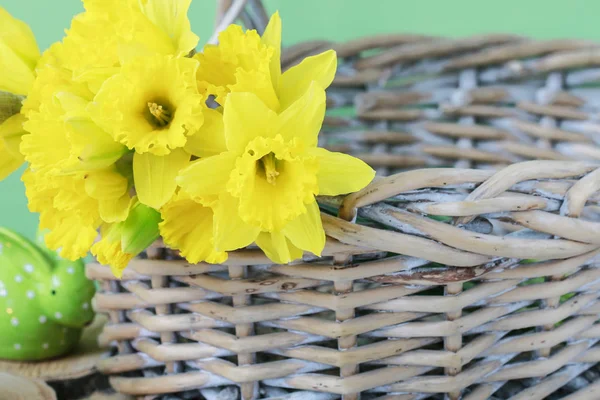 黄色的水仙花在柳条篮子里。绿色背景. — 图库照片
