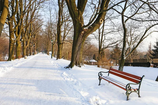 KRAKOW, POLONIA - 07 GENNAIO 2017: Panche sotto la neve in città — Foto Stock