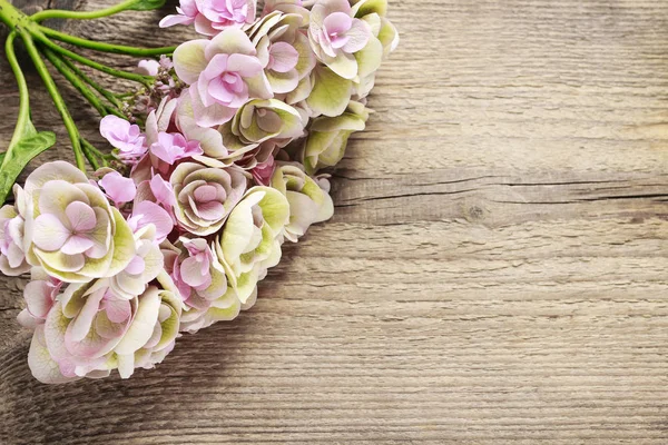 Flor de hortensia rosa sobre fondo de madera — Foto de Stock