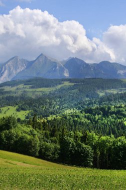 Polonya Tatra Dağları.