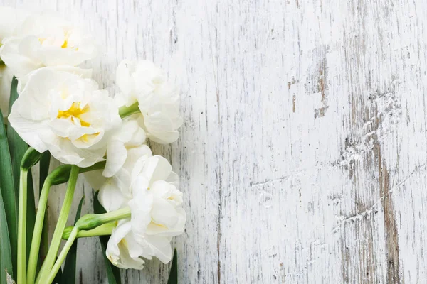 Flores narcisas blancas sobre fondo de madera . — Foto de Stock