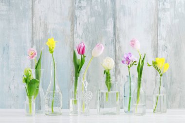 Cam şişelerde renkli çiçekler. Selamlar arka plan