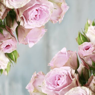 Seramik vazo içinde pembe gül buketi.