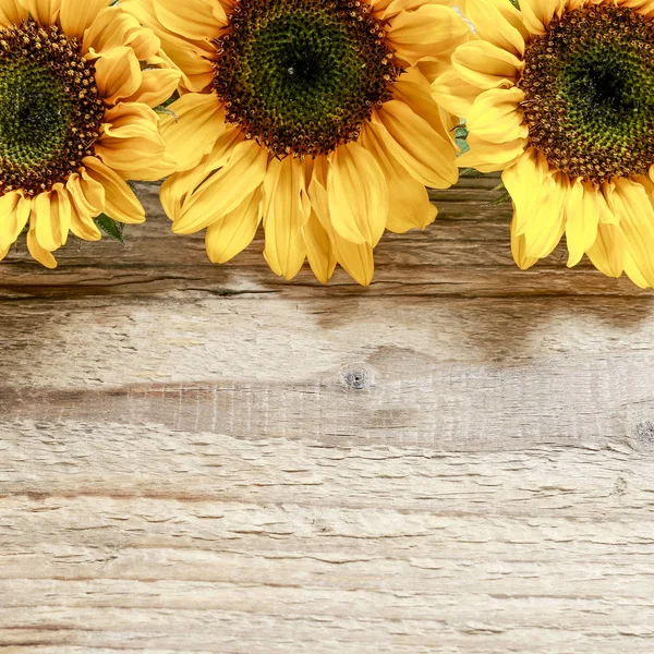 Sunflowers on wooden background. — Stock Photo, Image