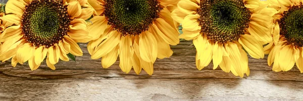 Sunflowers on wooden background. — Stock Photo, Image