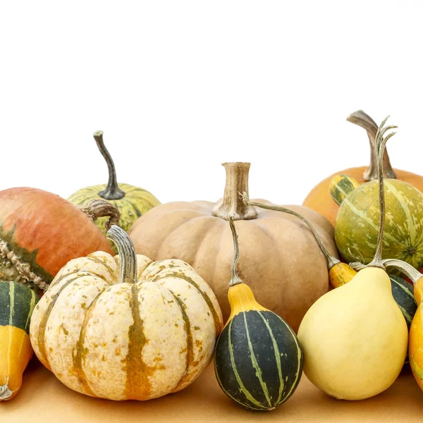 Pumpkin background. Autumn seasonal decoration. — Stock Photo, Image