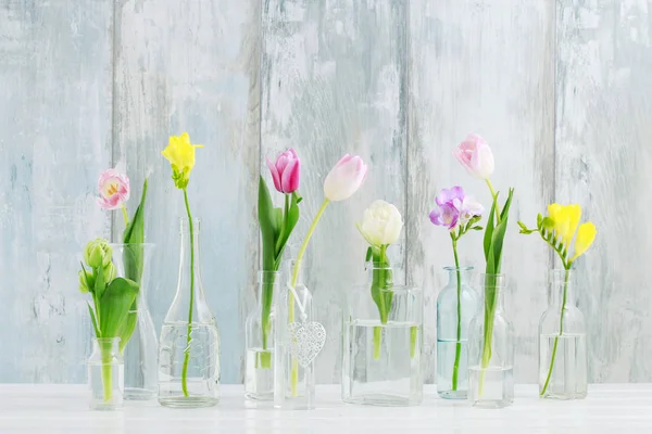 Colorful flowers in glass bottles. Greetings background