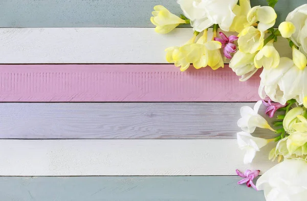 Překrásné bílé tulipány a žluté volné siby na proužkované dřevěné BAC — Stock fotografie