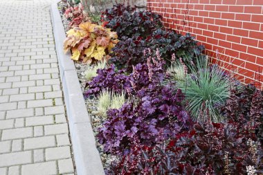 Tuğla bina yanında çiçek yatağı