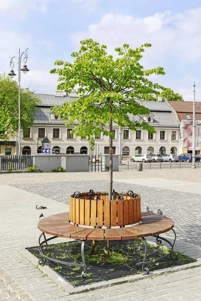 Krakov, Polsko-květen 20, 2017: jeden strom obklopený dřevěnou lavičkou — Stock fotografie