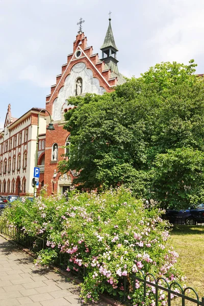 KRAKOW, POLONIA - 20 DE MAYO DE 2017: Florero con rosas en el parque público de la ciudad — Foto de Stock