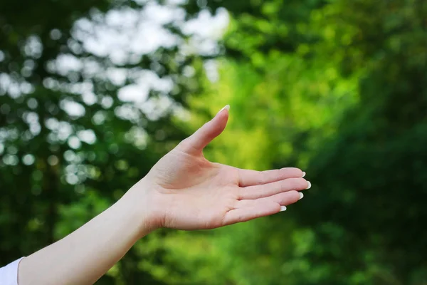 Gesto di benvenuto. Belle mani su sfondo verde . — Foto Stock