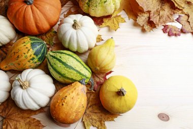Ahşap arka planda Pumpkins ve renkli yaprakları.