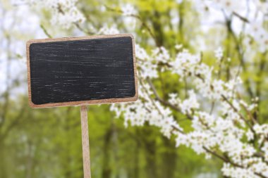 Blackboard etiket ve güzel bir bahçe içinde belgili tanımlık geçmiş.