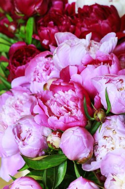 Pembe peonies arka plan.
