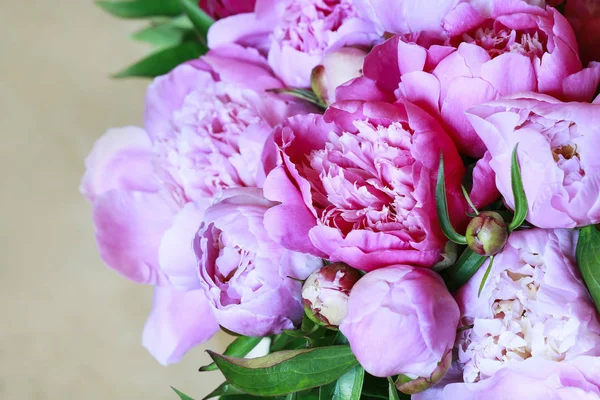 Fondo de peonías rosadas . — Foto de Stock