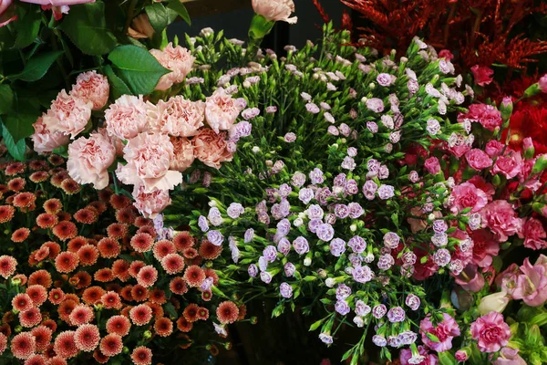 Fondo de flores con crisantemo santini, clavel y diana — Foto de Stock