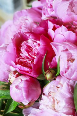 Pembe peonies arka plan.