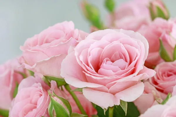 Hermoso rosa rosas fondo. — Foto de Stock