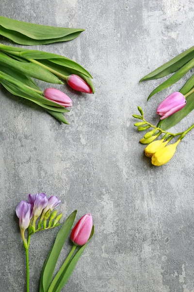 灰色の石の背景に春の花 — ストック写真