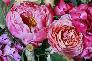 Güller, şakayık, hortensias, karanfil ile Çiçek arka plan bir