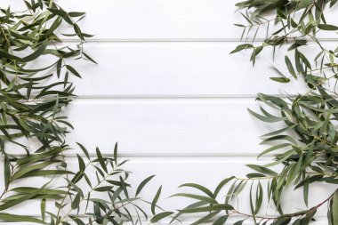 Beyaz ahşap masa üzerinde agonis flexuosa yeşil yaprakları