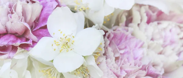 Fond de fleur avec jasmin et oeillets . — Photo