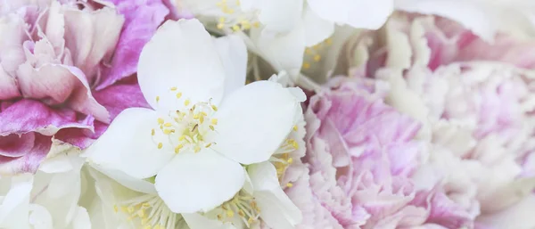 Fondo floreale con gelsomino e garofani . — Foto Stock