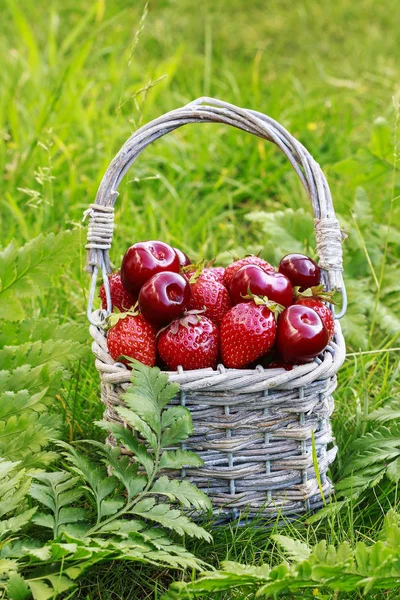 柳条篮子中的草莓和樱桃. — 图库照片