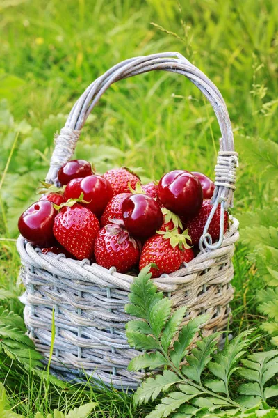 Strawberries and cherries in wicker basket. — Stock Photo, Image