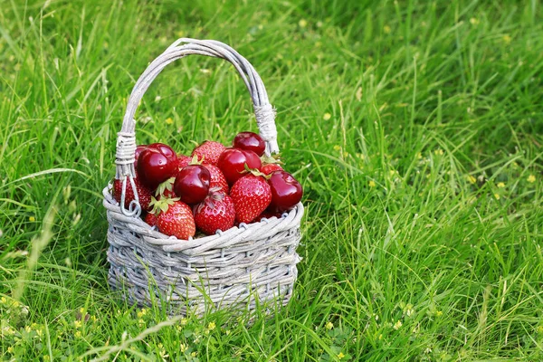 Fraises et cerises dans un panier en osier . — Photo