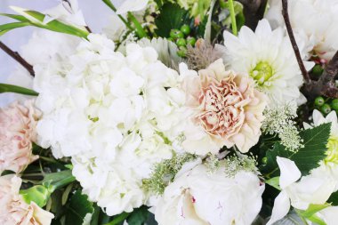 Hortensias (ortanca), karanfil ve ro ile çiçek arka plan