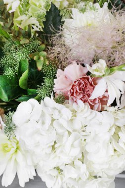 Hortensias (ortanca), karanfil ve ro ile çiçek arka plan