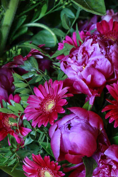 赤いピオニとガーベラの花束. — ストック写真