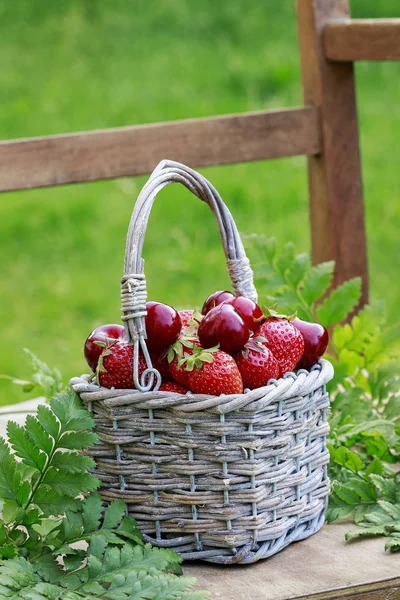 Aardbeien en kersen in rieten mand. — Stockfoto
