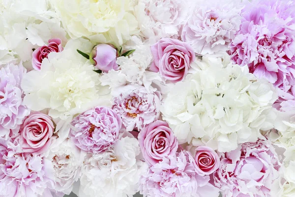 Blomster bakgrund med pioner, rosor och hortensior. — Stockfoto