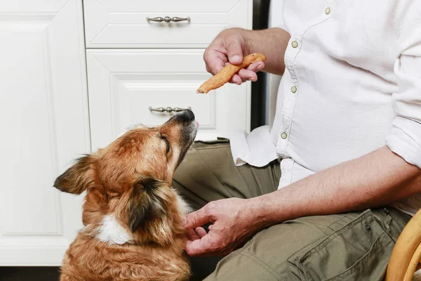 Hombre alimentando a su perro . — Foto de Stock