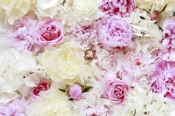 Fond de fleurs avec pivoines, roses et hortensias . — Photo