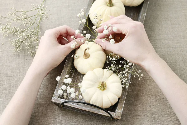 Wie man Blumenschmuck mit weißen Kürbissen macht, Baby bo genannt — Stockfoto