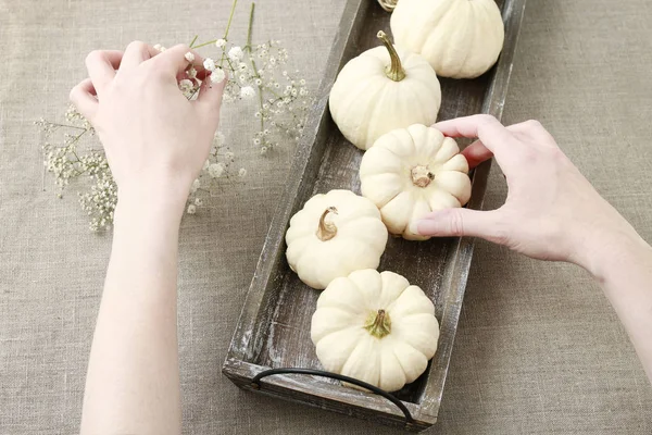 Cómo hacer decoración floral con calabazas blancas llamadas baby bo. — Foto de Stock