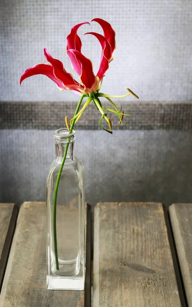 Gloriosa flor superba sobre mesa de madera . — Foto de Stock