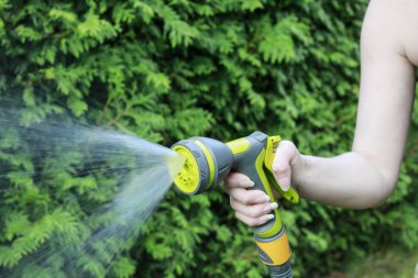 Sulama tesisleri. Bahçe hortumu tutan kadın.