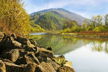 Sola Nehri, Zywiec, Polonya. En güzel yerlerden biri