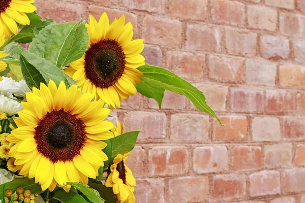 Bouquet of beautiful sunflowers on brick background