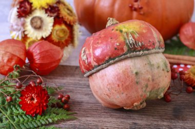 Tahta masadaki balkabakları. 